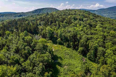 04 Turtle Hill Rd unit 4, Ludlow, VT 05149 - photo 3