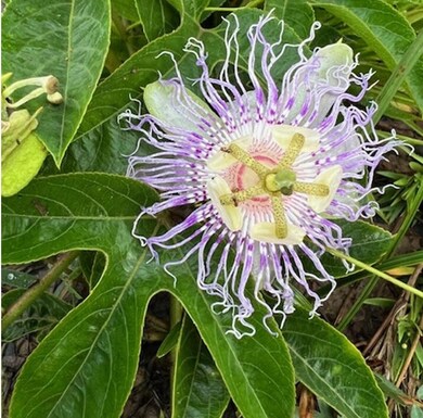 04