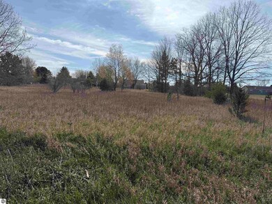 1016 Pyrenees Dr, Lake Isabella, MI 48893 - photo 7