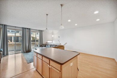 4665 Victor Path unit 7, Hugo, MN 55038 - photo 6