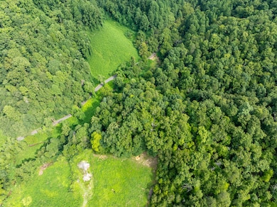 206 Caney Creek Rd, Pigeon Forge, TN 37863 - photo 6