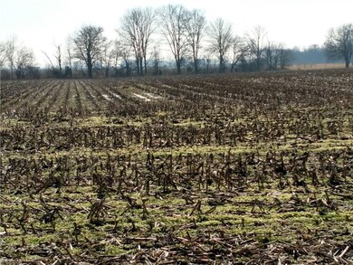 1601 W 1000 N, Fountaintown, IN 46130 - photo 3