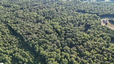 225 W Chapman Rd, Belton, SC 29627 - photo 3