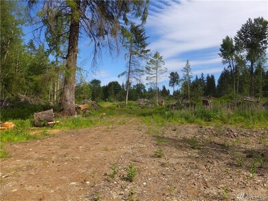 28TH 28th Ave NW, Stanwood, WA 98292 - photo 4