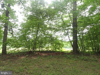 236 Sycamore Rd, Douglassville, PA 19518 - photo 5