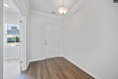 133 Monroe Preserve Ln, Chapin, SC 29036 - photo 5