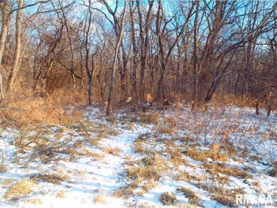 0 Gridley Rd, Virginia, IL 62691 - photo 6