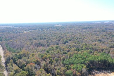 5123 Highway 51 S, Hernando, MS 38632 - photo 5