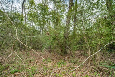 228 County Road 4323, Dayton, TX 77535 - photo 6