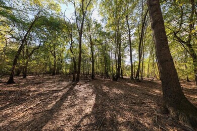 12245 County Rd 3514, Brownsboro, TX 75756 - photo 4