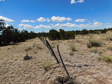 15 River Ln, Quemado, NM 87829 - photo 7