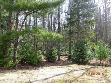 Yard/Garden.