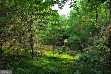 0 Withers Mill Rd unit 1002243054, Huntly, VA 22640 - photo 5