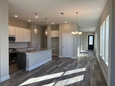 23814 Pullin Dr, Pleasanton, TX 78064 - photo 5