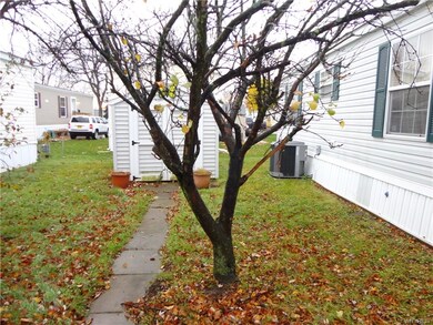 Side yard with flowering tree and a walkway to the