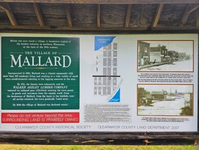 TBD 210th St, Shevlin, MN 56676 - photo 4