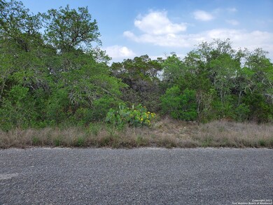 000 Spur Clip, Helotes, TX 78023 - photo 5