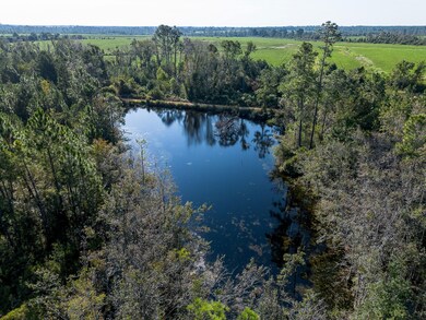 0 Rhonda Coleman Rd, Hazlehurst, GA 31539 - photo 4