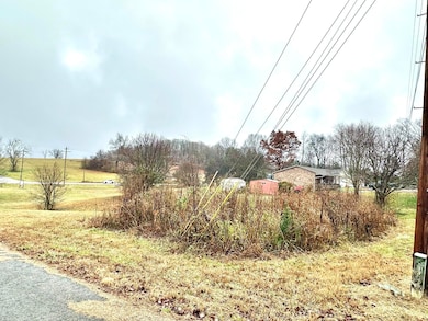 1700 Goddard Ln, Dandridge, TN 37725 - photo 3