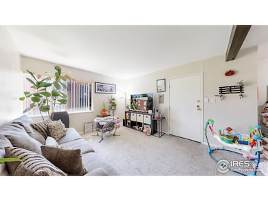 3623 S Sheridan Blvd unit 11, Denver, CO 80235 - photo 3