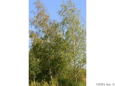 Land/Lot