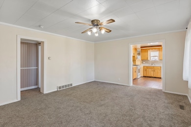 Unfurnished room featuring light carpet, ceiling fan, and ornamental molding