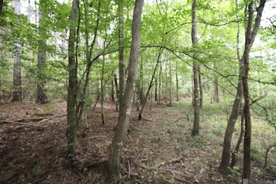 211 Fred Rogers Rd, Montgomery, LA 71454 - photo 3