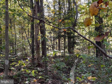 0 Marsh Rd unit VAFQ2019648, Goldvein, VA 22720 - photo 4