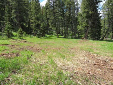 Brittle Si Quartz Hill Rd, Wise River, MT 59762 - photo 3