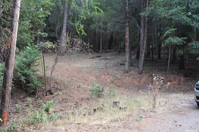 5511 Shooting Star Rd, Pollock Pines, CA 95726 - photo 6