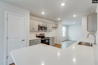 629 Clementine Run, Gilbert, SC 29054 - photo 6