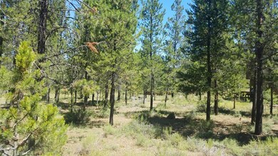 57650 White Elm Ln, Sunriver, OR 97707 - photo 2