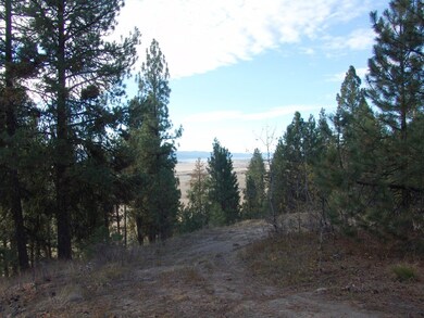 10 Rehn Loop unit 1, Cascade, ID 83611 - photo 6