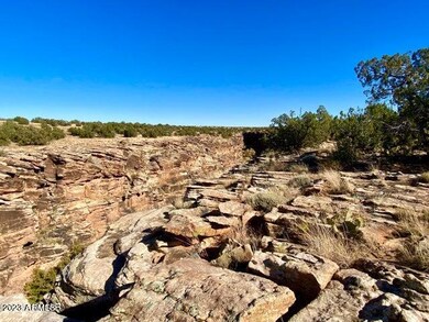 7537 Silver Creek Trail, Snowflake, AZ 85937 - photo 5