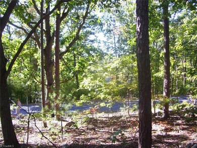 0 Thayer Dr, Asheboro, NC 27205 - photo 5