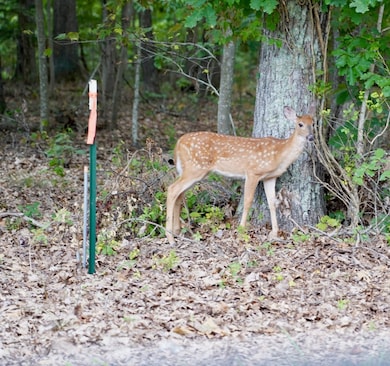 0 Prussia Rd, Waverly, OH 45690 - photo 2