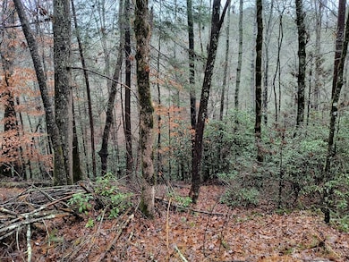 Lot 39 Kells Ridge Dr, Ellijay, GA 30540 - photo 2