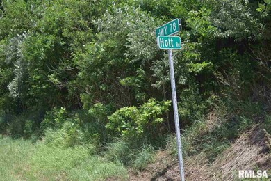 2009 Eagle Ln, Jacksonville, IL 62650 - photo 7