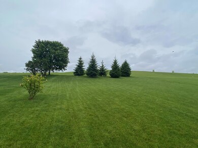 Private Back Yard