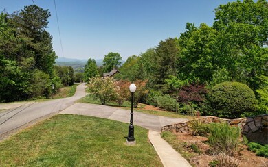 Additional View