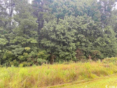 2626 Highway 378, Conway, SC 29527 - photo 2