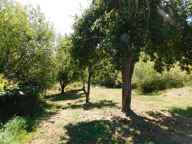 unlisted-address, Myrtle Point, OR 97458 - photo 6