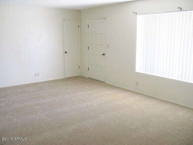 Large Living Room