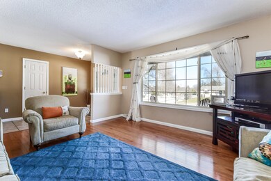 Living Room 4-Meadow CT