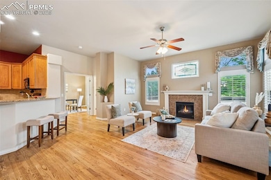 9659 Carriage Creek Point, Colorado Springs, CO 80920 - photo 3