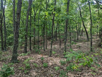 Do you see the copperhead?