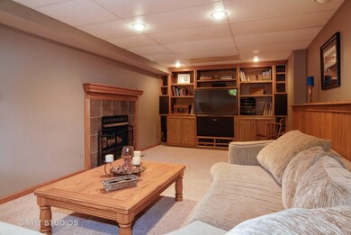1081 Weston Cir unit 4, Batavia, IL 60510 - photo 3