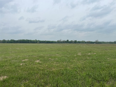 TBD Vzcr 4702, Ben Wheeler, TX 75754 - photo 5