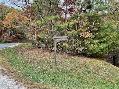 Lot 8 Rocky Ridge Rd, Almond, NC 28702 - photo 7