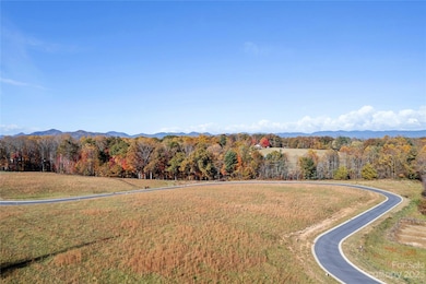 75 Scott Meadows Dr, Asheville, NC 28806 - photo 6